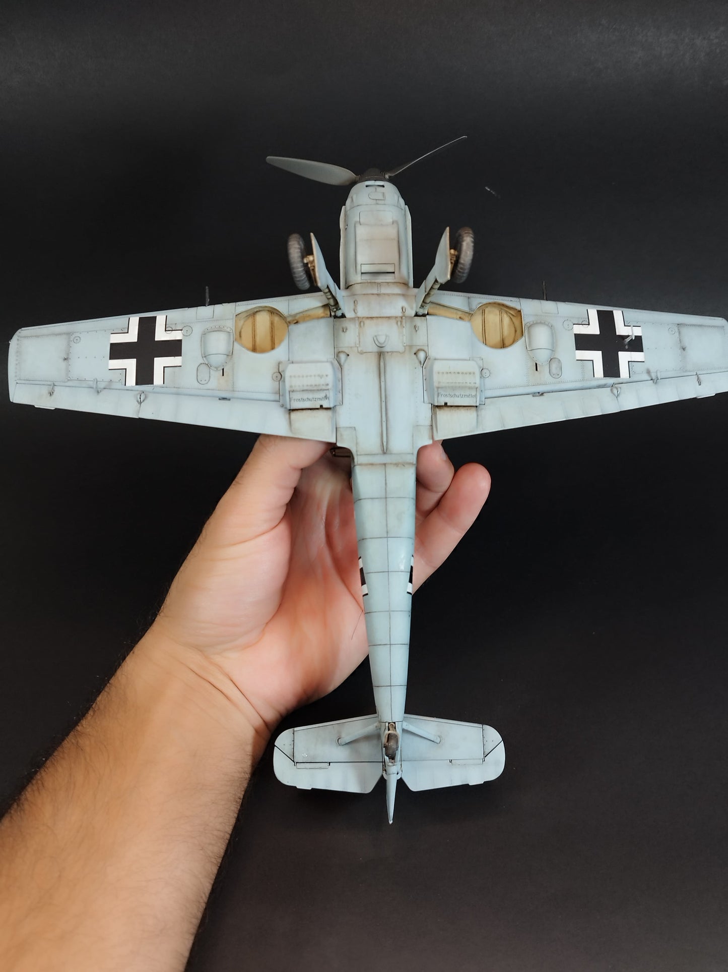 Custom Plane Model